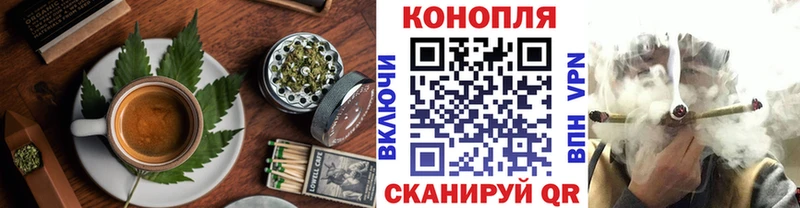купить   Егорьевск  Canna-Cookies марихуана 