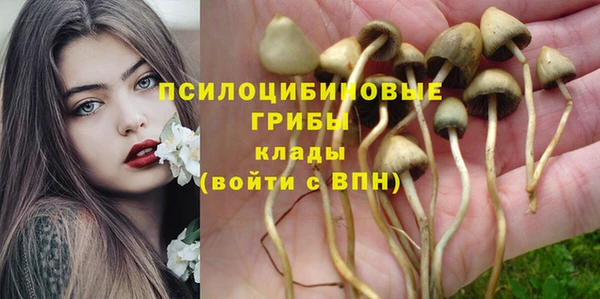 ECSTASY Лиски