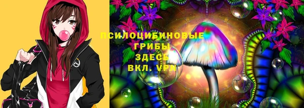 молекула духа Липки