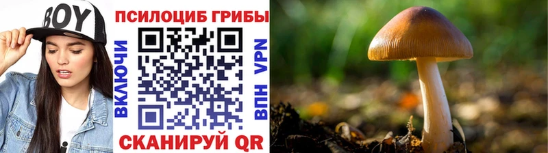 Галлюциногенные грибы Magic Shrooms  Егорьевск 