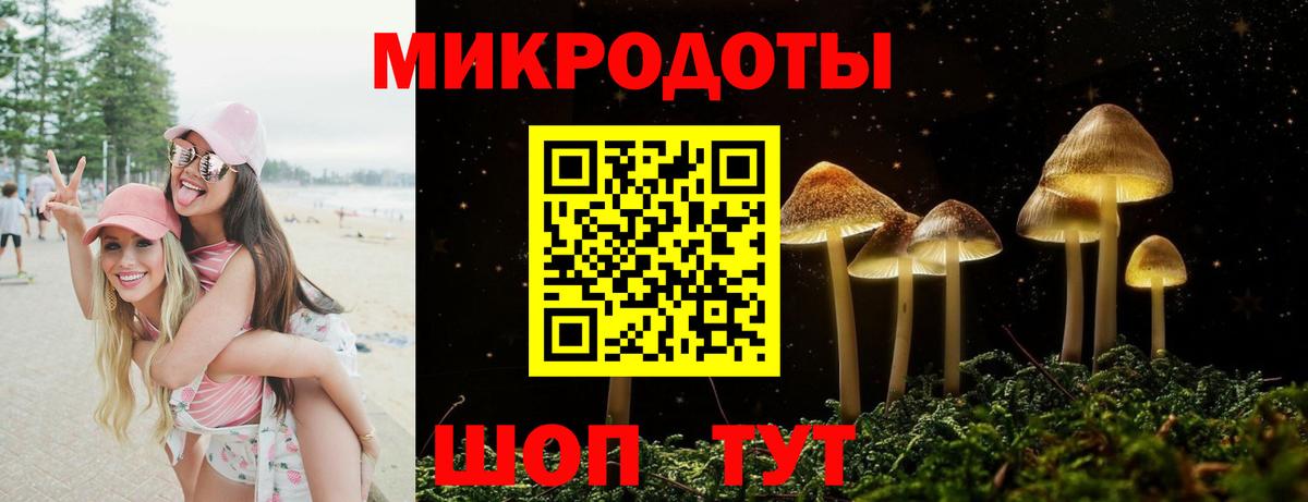 Егорьевск  даркнет сайт  Вход с VPN  Псилоцибиновые грибы Psilocybine cubensis 
