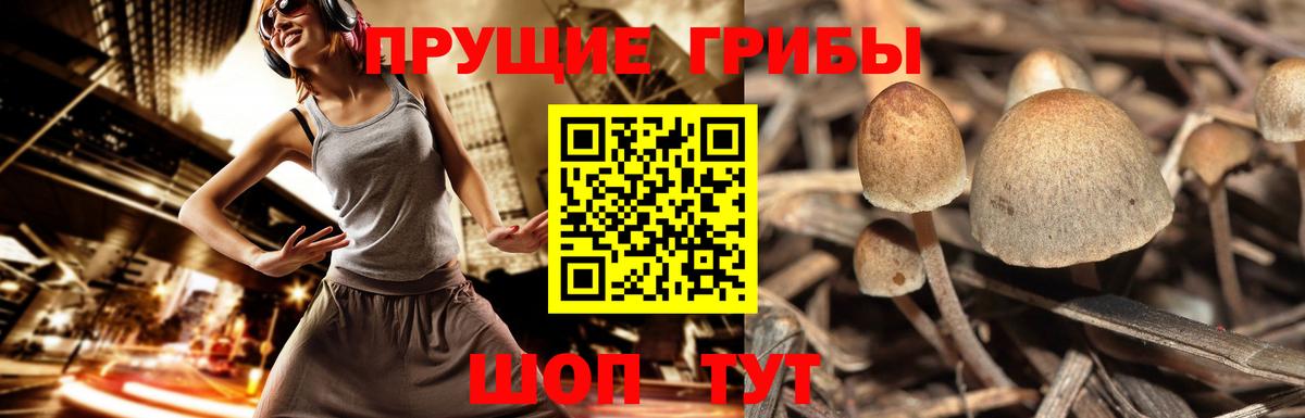 Псилоцибиновые грибы мухоморы Егорьевск
